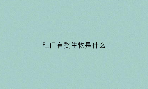肛门有赘生物是什么(肛门赘生物是什么感染)