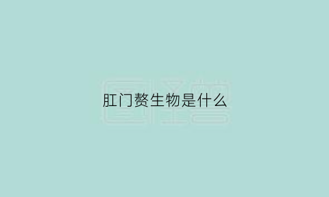 肛门赘生物是什么(肛门赘生物是什么东西)