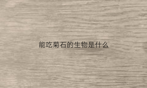 能吃菊石的生物是什么(能吃菊石的生物是什么动物)