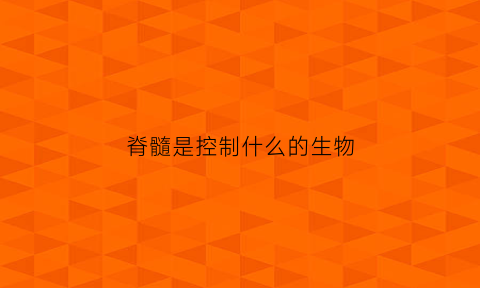 脊髓是控制什么的生物(脊髓是控制什么的生物器官)