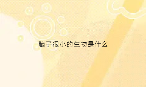脑子很小的生物是什么(脑子很小的生物是什么生肖)