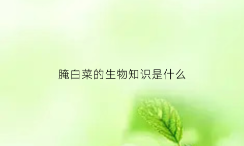 腌白菜的生物知识是什么(腌白菜是什么意思)