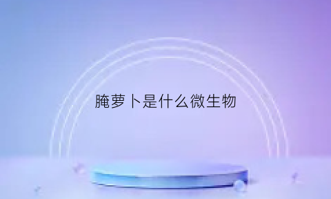 腌萝卜是什么微生物(腌制萝卜是发物吗)