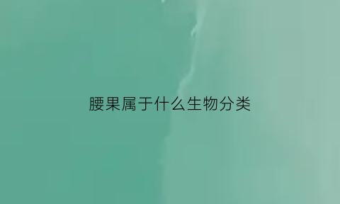 腰果属于什么生物分类(腰果属于什么生物分类的)