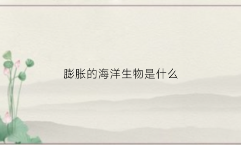 膨胀的海洋生物是什么(膨胀的东西有哪些)