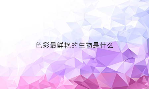 色彩最鲜艳的生物是什么(色彩鲜艳的动物图片)