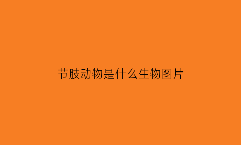 节肢动物是什么生物图片(节肢动物图解)