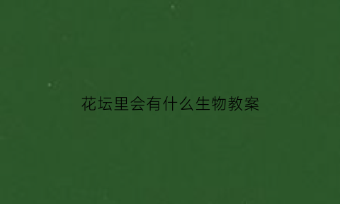 花坛里会有什么生物教案(花坛里有什么植物)