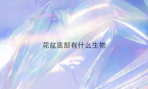 花盆底部有什么生物(花盆底座有很小的虫子那是什么虫)