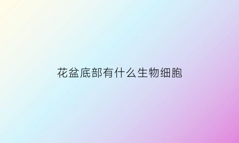 花盆底部有什么生物细胞(花盆底部都有洞吗)