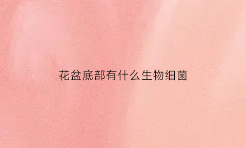 花盆底部有什么生物细菌(花盆底部有什么生物细菌多)