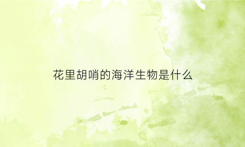 花里胡哨的海洋生物是什么(海洋里面的花)