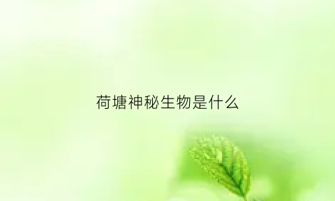 荷塘神秘生物是什么