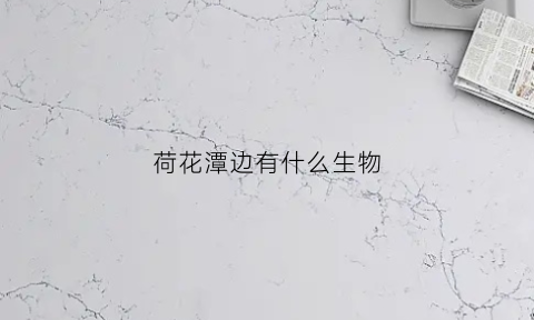 荷花潭边有什么生物(荷花潭边有什么生物吗)
