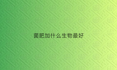 菌肥加什么生物最好(菌肥加什么生物最好呢)