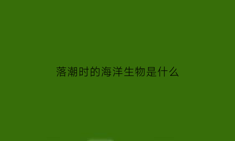 落潮时的海洋生物是什么