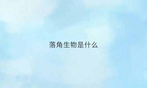 落角生物是什么(什么叫角落生物)