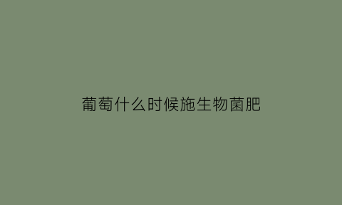 葡萄什么时候施生物菌肥(葡萄什么时候打菌药)