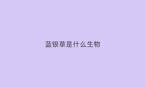 蓝银草是什么生物(蓝银草是什么植物)
