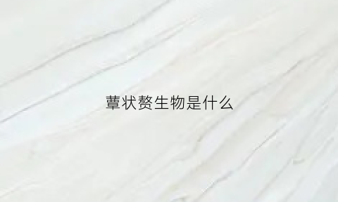 蕈状赘生物是什么