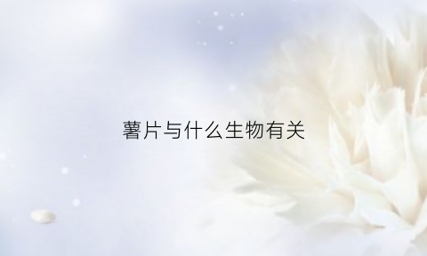 薯片与什么生物有关(薯片与什么生物有关)