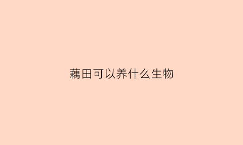 藕田可以养什么生物(藕田适合养什么鱼)