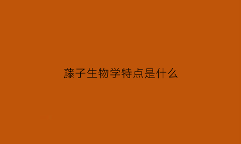 藤子生物学特点是什么(藤子动物)