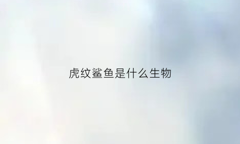 虎纹鲨鱼是什么生物