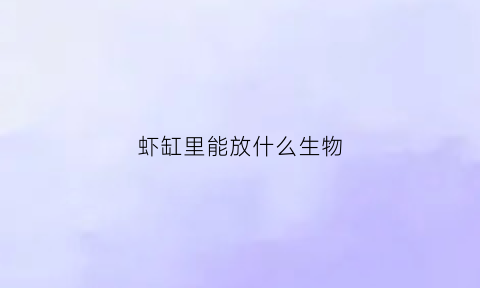 虾缸里能放什么生物