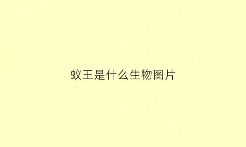 蚁王是什么生物图片(蚁王是什么生物图片大全)