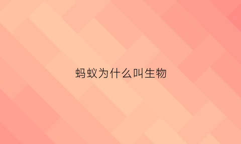 蚂蚁为什么叫生物