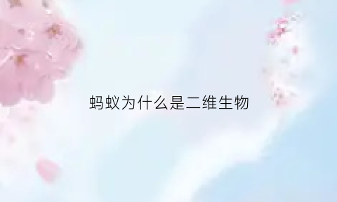 蚂蚁为什么是二维生物(蚂蚁的脸放大10倍好恐怖)