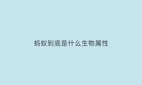 蚂蚁到底是什么生物属性(蚂蚁属于什么样的动物)