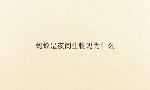蚂蚁是夜间生物吗为什么(蚂蚁在夜间活动吗)