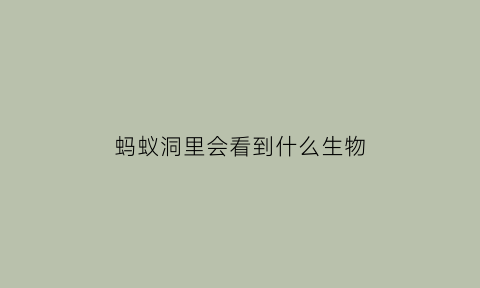 蚂蚁洞里会看到什么生物(蚂蚁洞里是什么样子的)