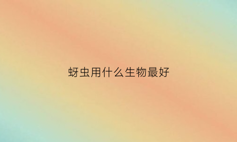 蚜虫用什么生物最好