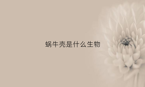 蜗牛壳是什么生物(蜗牛壳什么意思)