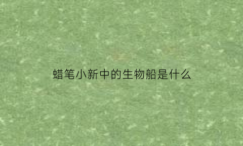 蜡笔小新中的生物船是什么