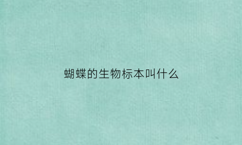 蝴蝶的生物标本叫什么(蝴蝶的生物标本叫什么来着)