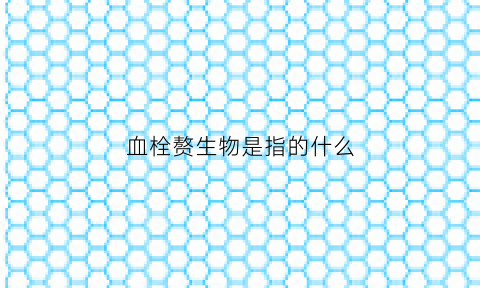 血栓赘生物是指的什么(血栓栓子是什么)
