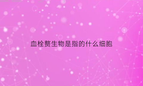 血栓赘生物是指的什么细胞