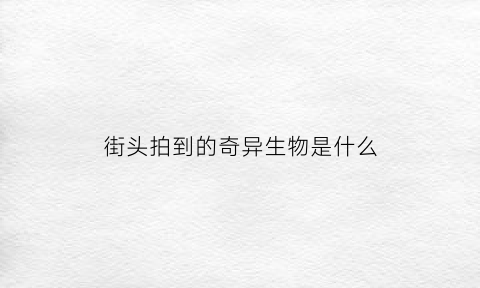 街头拍到的奇异生物是什么(拍到的奇异现象)