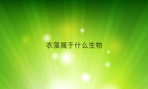 衣藻属于什么生物(衣藻属于什么生物)
