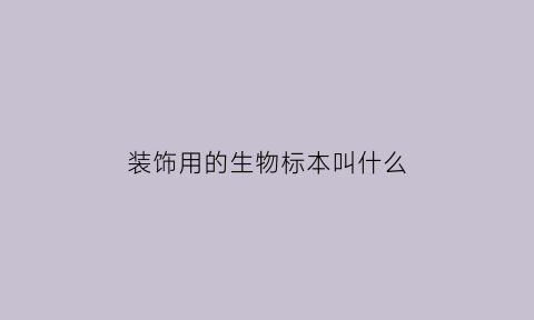 装饰用的生物标本叫什么(装饰用的生物标本叫什么来着)