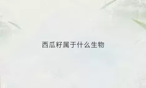 西瓜籽属于什么生物(西瓜籽属于什么器官)