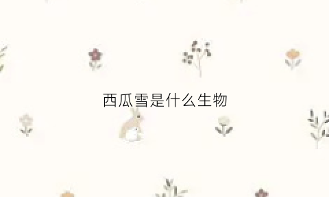 西瓜雪是什么生物(啥是西瓜雪)