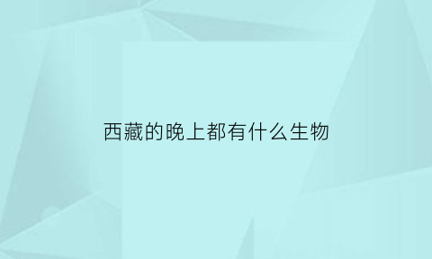 西藏的晚上都有什么生物(西藏的白天黑夜时间)