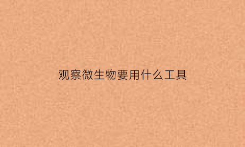 观察微生物要用什么工具
