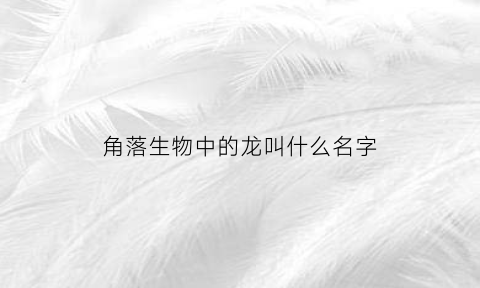 角落生物中的龙叫什么名字