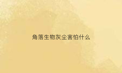 角落生物灰尘害怕什么(角落里的灰尘)